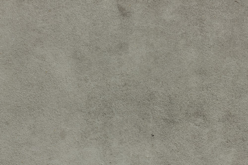 IMG 7278.jpg