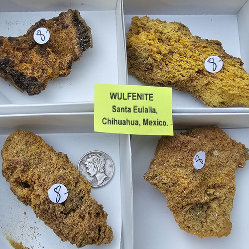 cropped 16880920023281138416628512146059.jpg