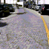 moto1.gif