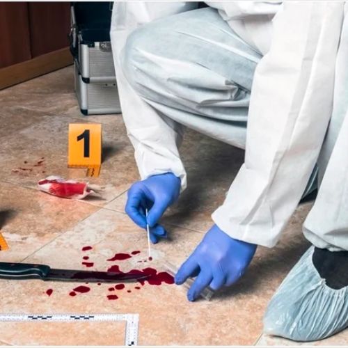 Forensic-science.jpg