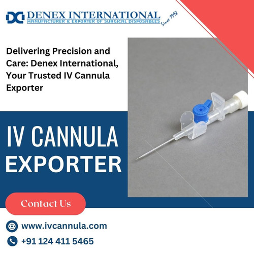 IV Cannula Exporter India.jpg