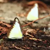20150724 206