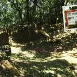20150724 345 1