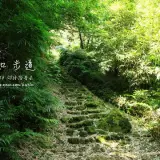 20150724 241