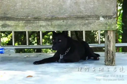 20150724 319.webp