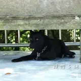 20150724 319