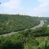 20080525 051