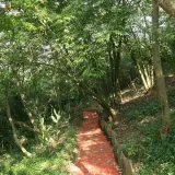 20080525 031