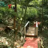 20080525 047