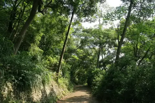 20080525 108.webp