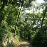 20080525 108