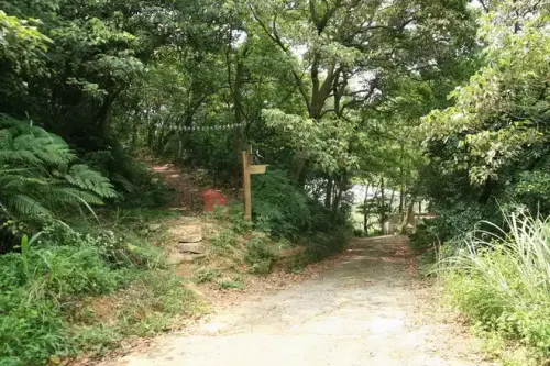 20080525 219 1.webp