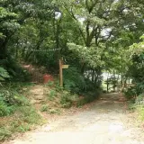 20080525 219 1