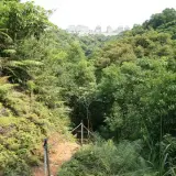 20080525 155