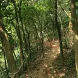 20080525 125