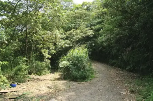 20080525 221.webp