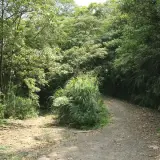 20080525 221