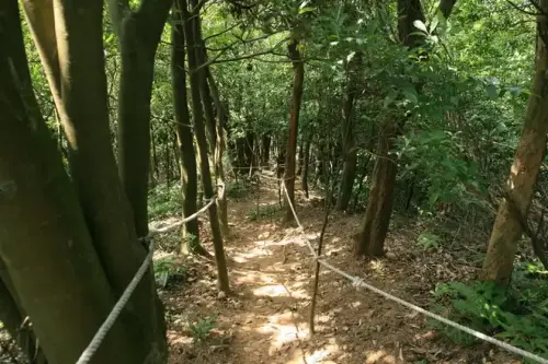 20080525 120.webp