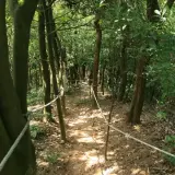 20080525 120