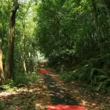 20080525 132