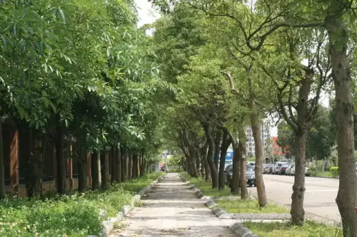 20080525 241.webp