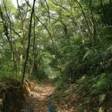 20080525 206