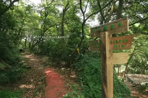 20080525 218.webp