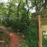 20080525 218