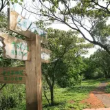 20080525 141