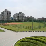 20080525 246