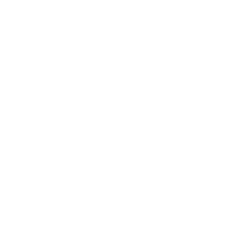 pixel walls.png