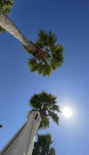 B27E3932 C148 4701 918F D84773EFD15C.jpg