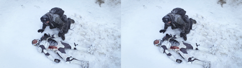 f5024ed2a7a2.png