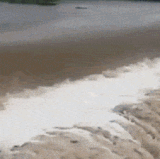 tumblr oyp85fi3ae1s7km96o1 400.gif