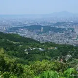 20110424 212