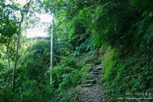 20110424 076.webp
