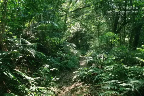 20110424 164.webp