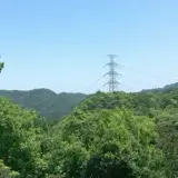 20110424 248