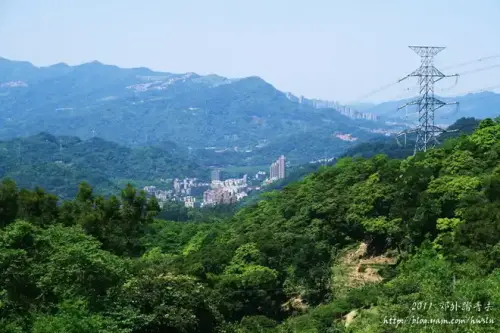 20110424 136.webp