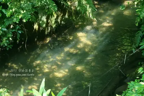 20110424 082.webp