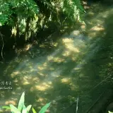 20110424 082