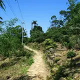 20110424 138