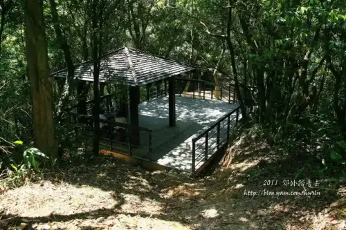 20110424 263.webp