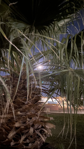 0EDDFB1C BCD1 470F 93F9 BAAB44C39EA2.jpg