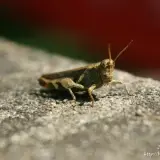 20110424 465
