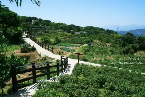 20110424 385.webp