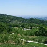 20110424 289