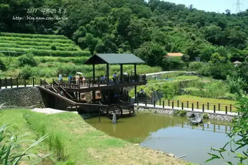 20110424 343.webp