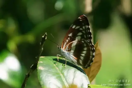 20110424 443.webp