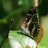 20110424 443